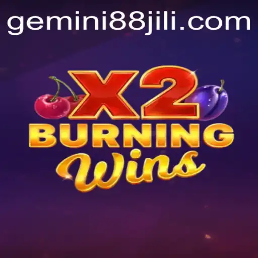 Exploring the Thrills of BurningWinsX2